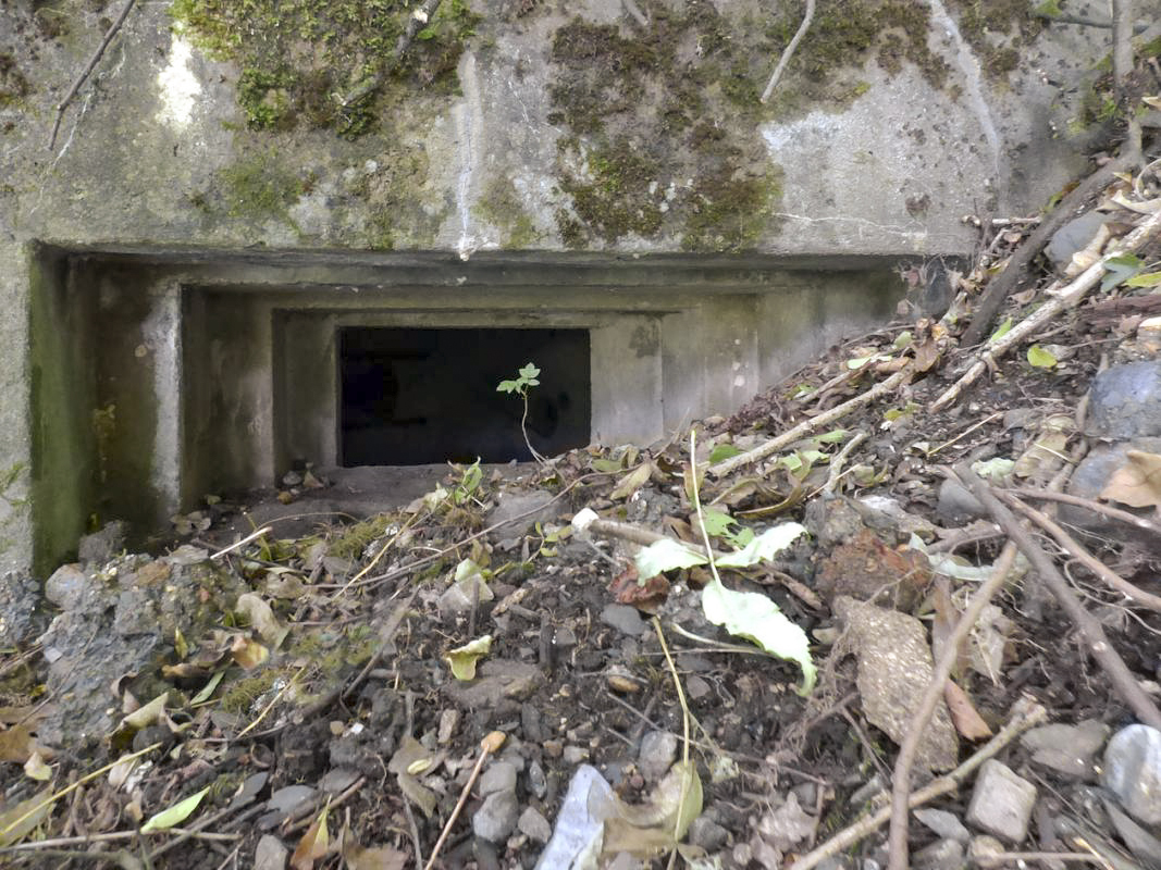 Ligne Maginot - BB52 - MAIRUPT - (Blockhaus pour canon) - 