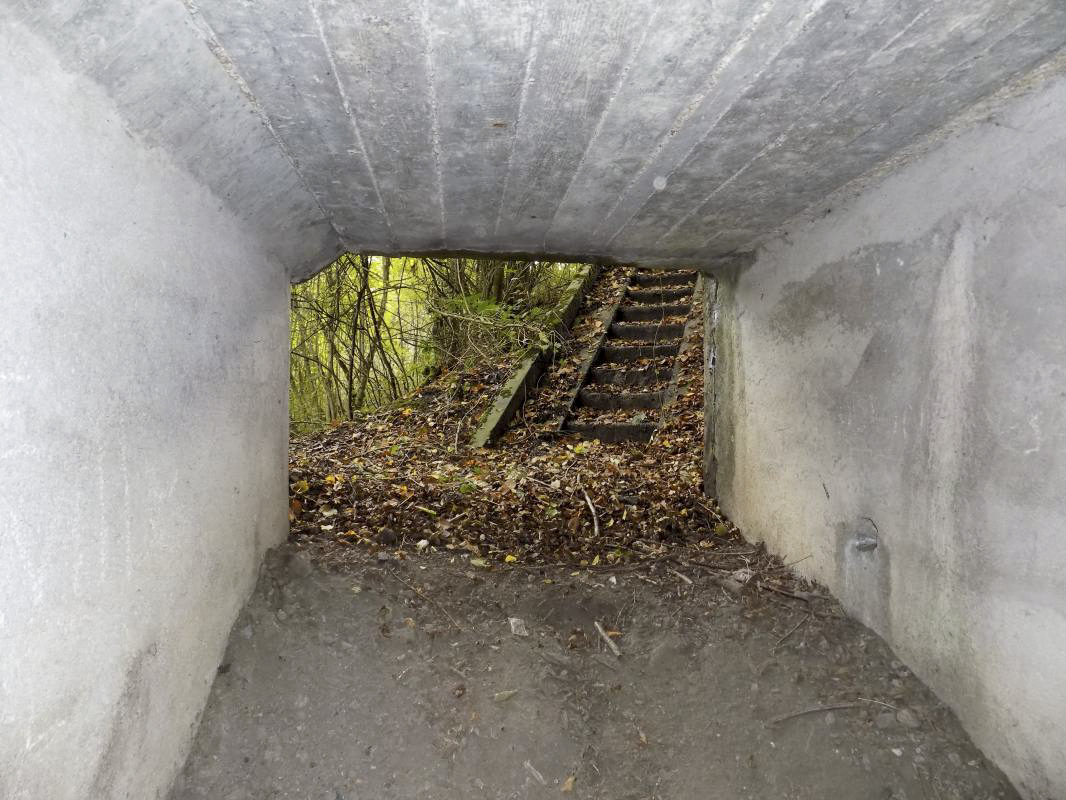 Ligne Maginot - BB52 - MAIRUPT - (Blockhaus pour canon) - Vue vers l’extérieur
