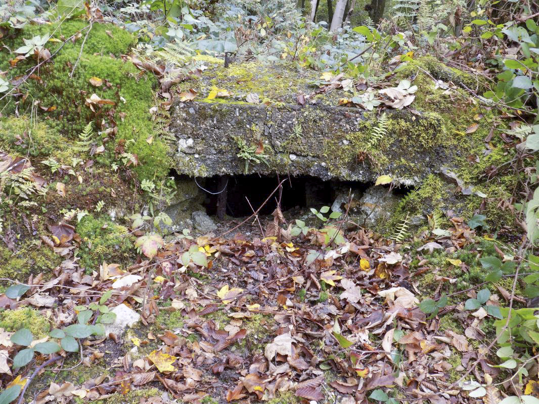 Ligne Maginot - BB53-A - BOIS L'ABBE - (Blockhaus pour arme infanterie) - Créneau, face droite