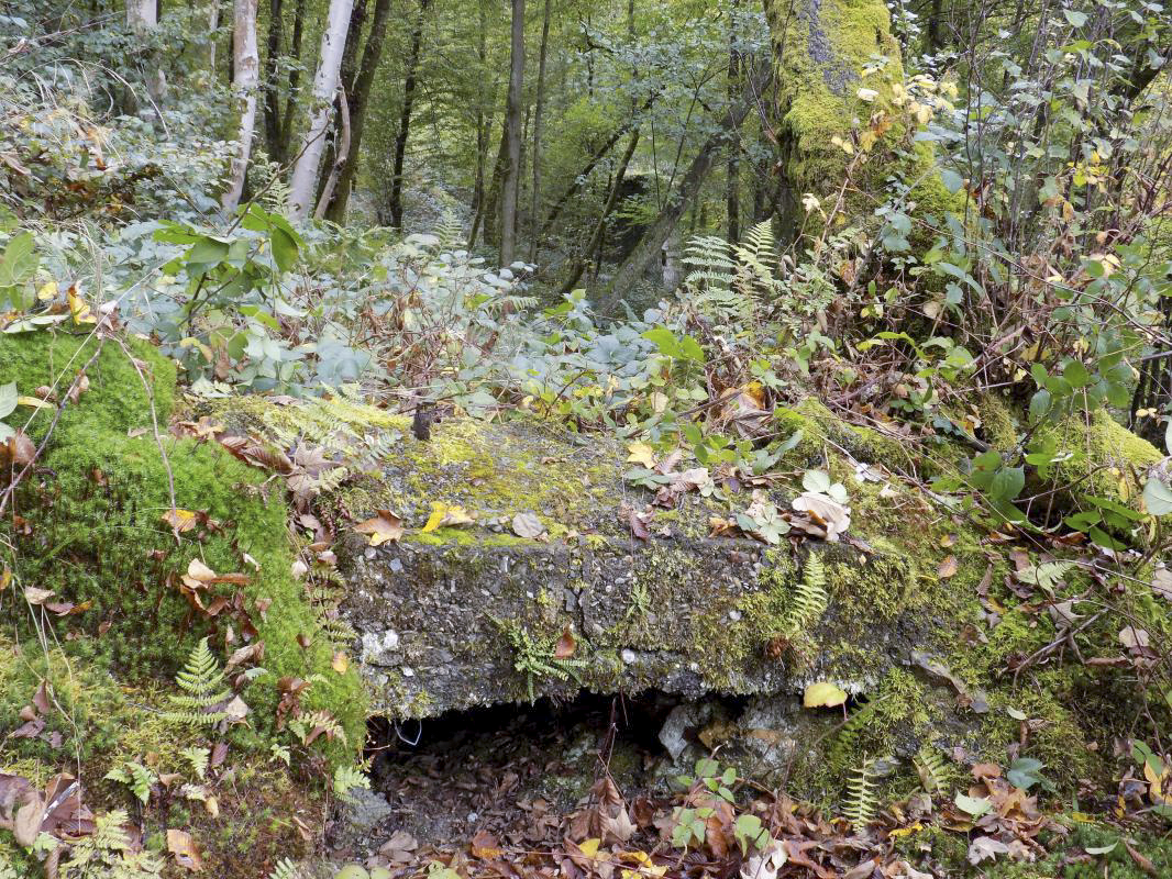 Ligne Maginot - BB53-A - BOIS L'ABBE - (Blockhaus pour arme infanterie) - Créneau, face droite, avec bâtiment industriel derrière