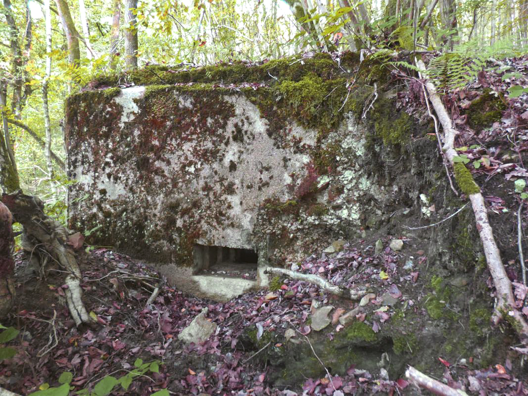 Ligne Maginot - BB53-B - LA CARBONNIERE SUD - (Blockhaus pour arme infanterie) - 