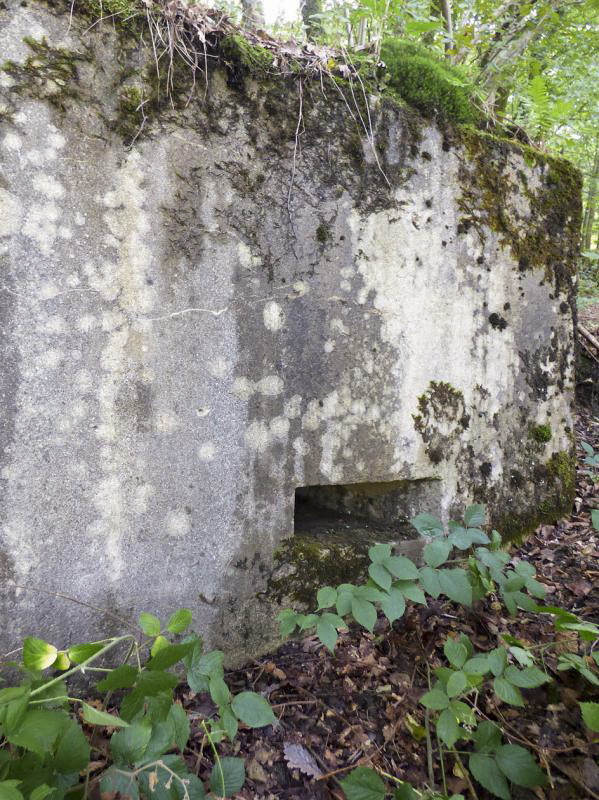 Ligne Maginot - BB53-B - LA CARBONNIERE SUD - (Blockhaus pour arme infanterie) - 