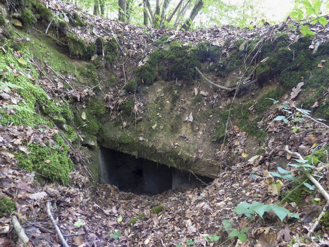 Ligne Maginot - BB53-B - LA CARBONNIERE SUD - (Blockhaus pour arme infanterie) - 