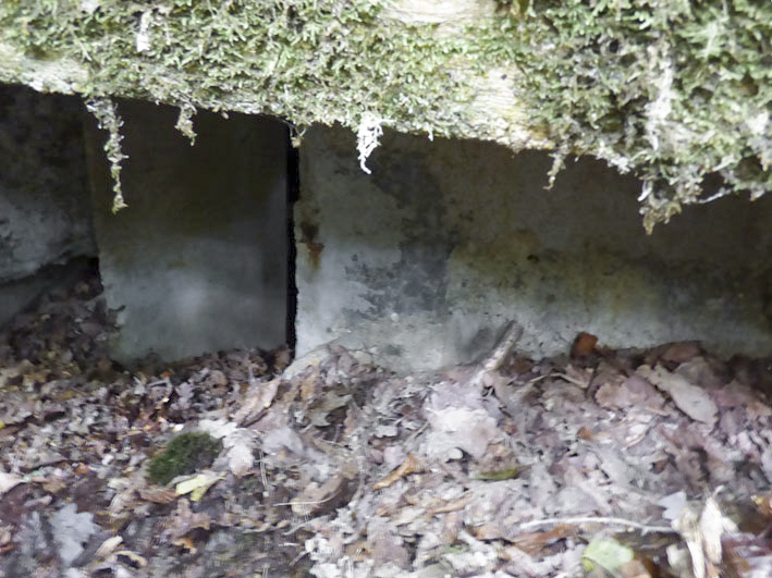 Ligne Maginot - BB53-B - LA CARBONNIERE SUD - (Blockhaus pour arme infanterie) - 