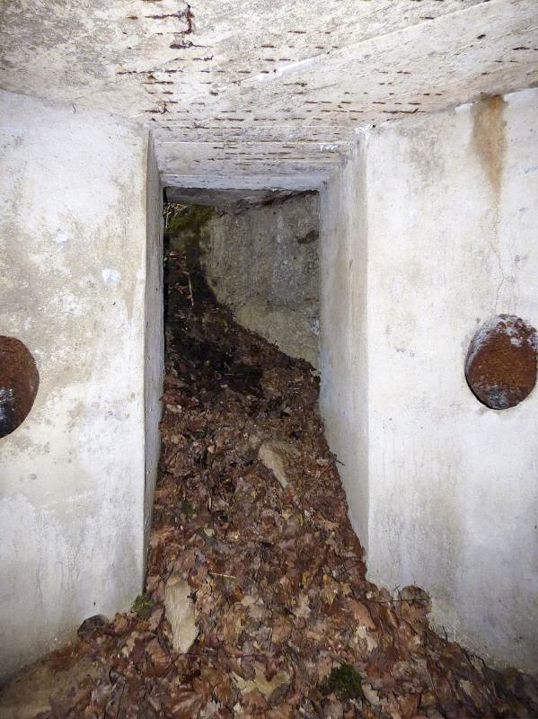 Ligne Maginot - BB53-B - LA CARBONNIERE SUD - (Blockhaus pour arme infanterie) - 