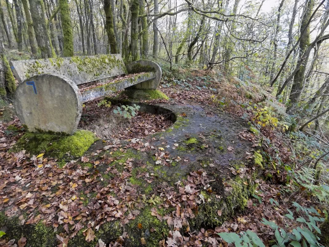 Ligne Maginot - BB53-D - BOIS DE ROMA EST - (Cuve pour arme d'infanterie) - 