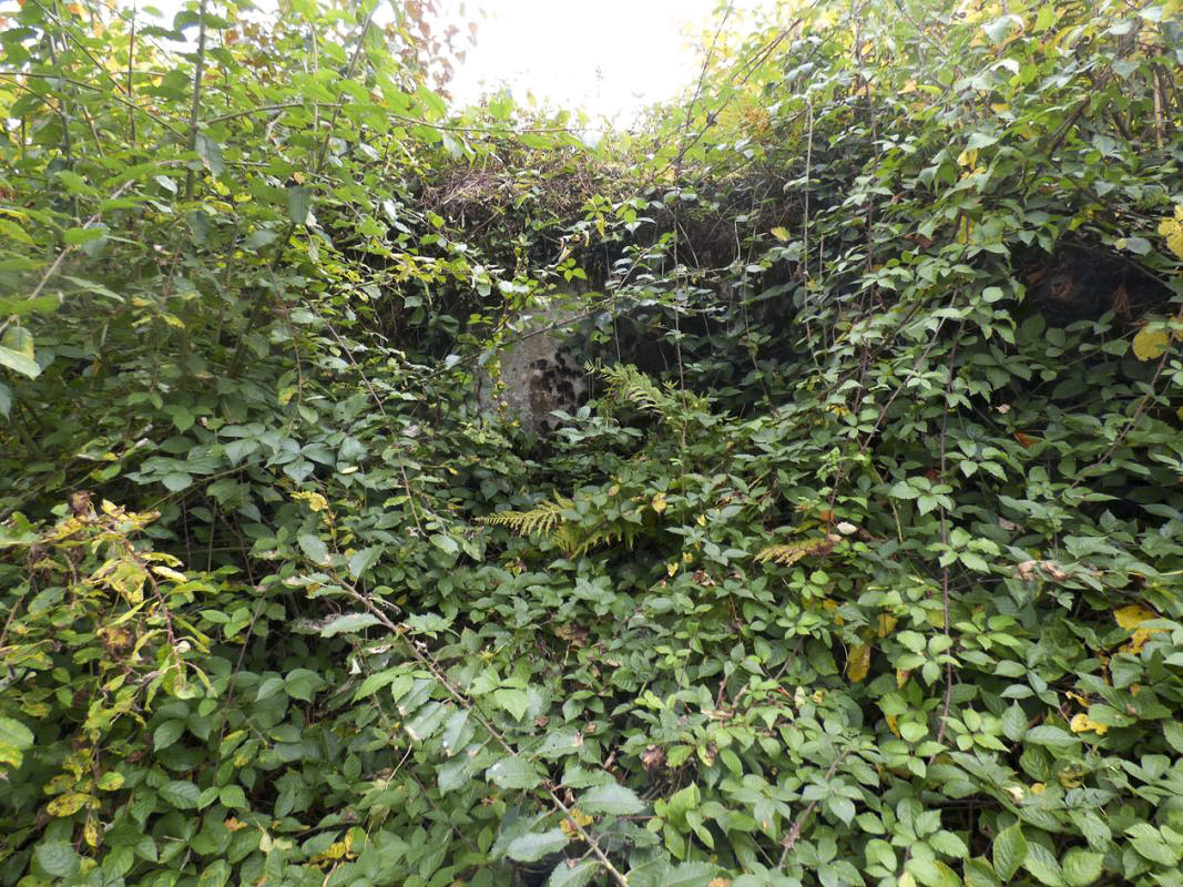 Ligne Maginot - BB53 - LA CARBONNIERE NORD - (Blockhaus pour canon) -  - JMBrams