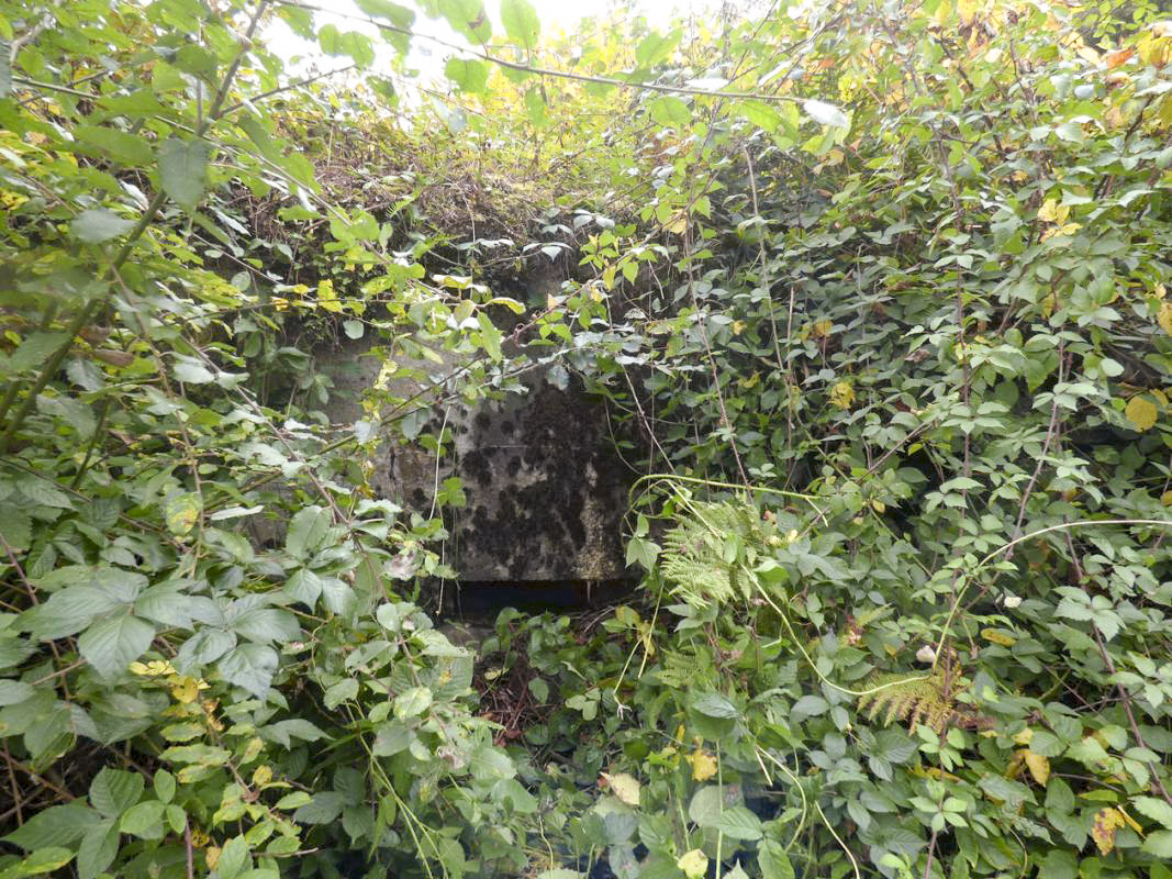 Ligne Maginot - BB53 - LA CARBONNIERE NORD - (Blockhaus pour canon) -  - JMBrams