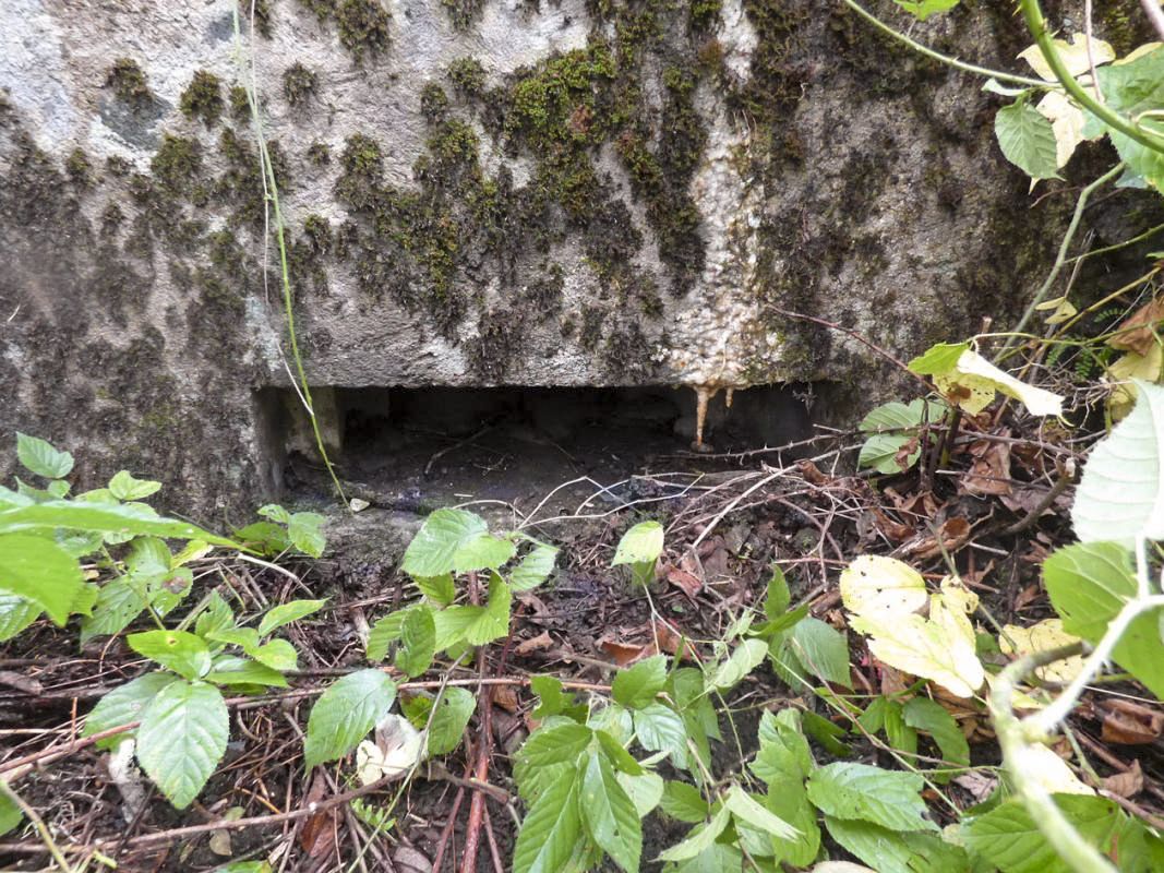 Ligne Maginot - BB53 - LA CARBONNIERE NORD - (Blockhaus pour canon) -  - JMBrams