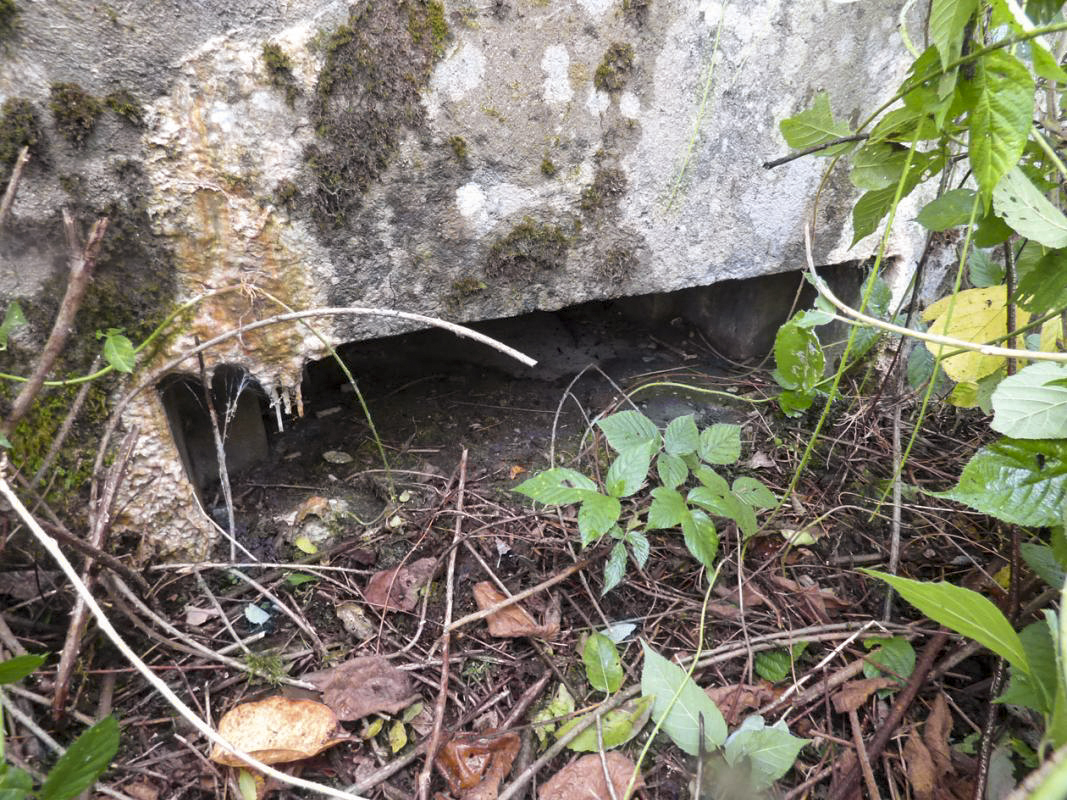 Ligne Maginot - BB53 - LA CARBONNIERE NORD - (Blockhaus pour canon) -  - JMBrams