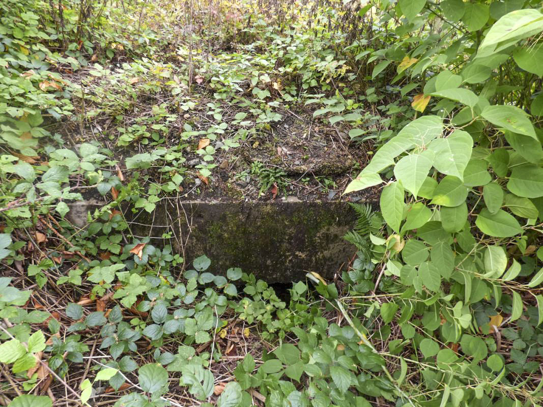 Ligne Maginot - BB53 - LA CARBONNIERE NORD - (Blockhaus pour canon) - Entrée. - JMBrams