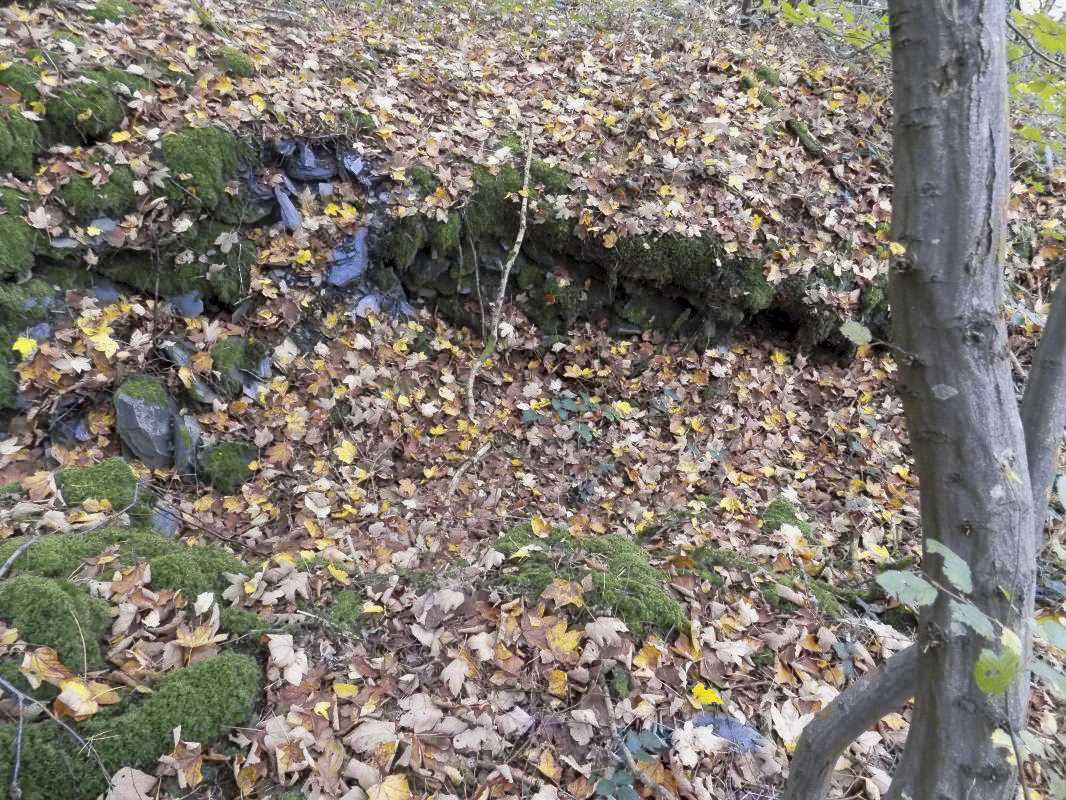 Ligne Maginot - BB54 - LA TERRE NOBLESSE SUD 1 - (Blockhaus pour arme infanterie) - Tranchée entre l'entrée du bloc et l’abri à 20m