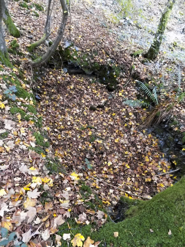 Ligne Maginot - BB54 - LA TERRE NOBLESSE SUD 1 - (Blockhaus pour arme infanterie) - L’abri - R Tucker