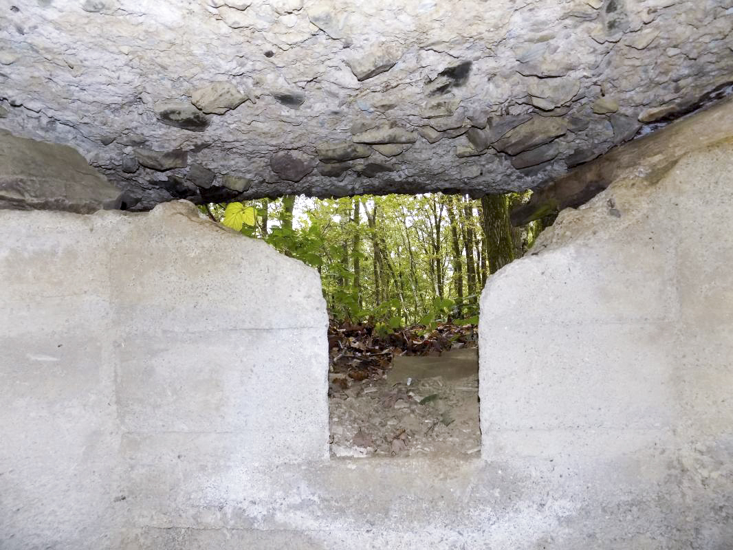Ligne Maginot - BB54B - LA TERRE NOBLESSE SUD 2 - (Blockhaus pour arme infanterie) - Créneau FM