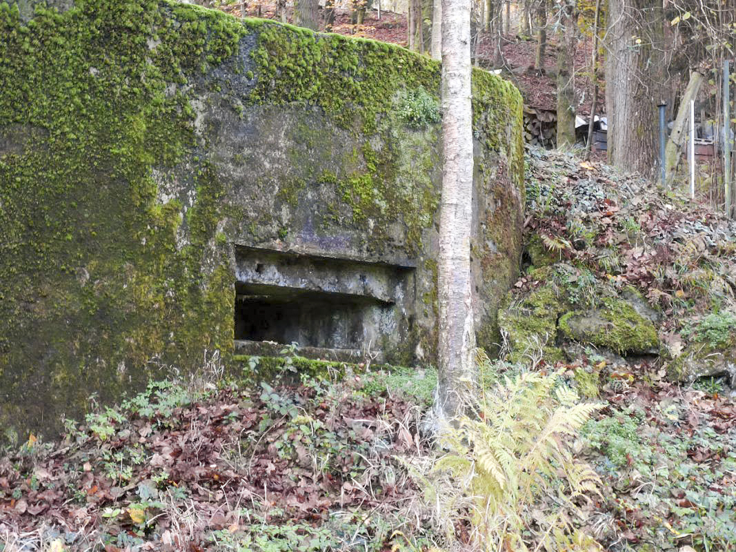 Ligne Maginot - BB58 - SOLTYS SUD - (Blockhaus pour canon) - 