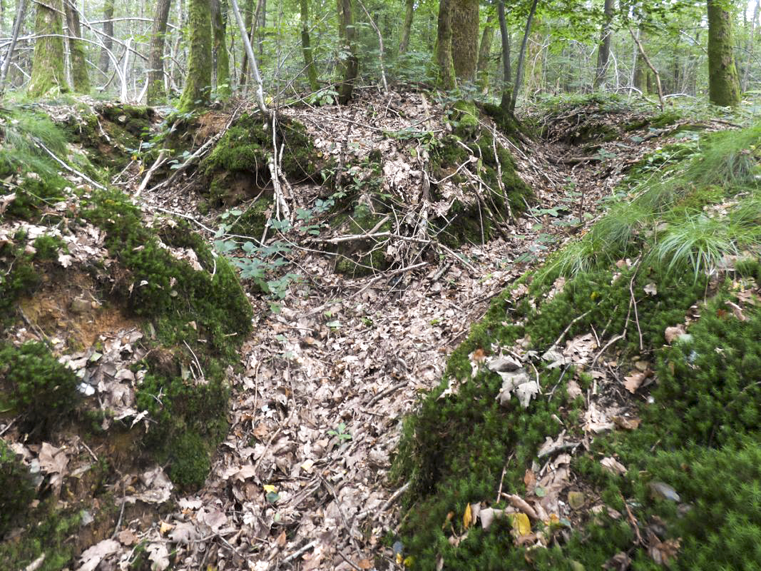 Ligne Maginot - BB60-D - LEVREZY - (Blockhaus pour arme infanterie) - Tranchées d'accès au blockhaus