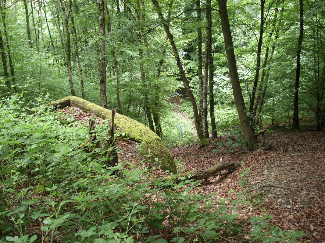 Ligne Maginot - A63 - NOUZONVILLE - (Casemate d'artillerie) - 