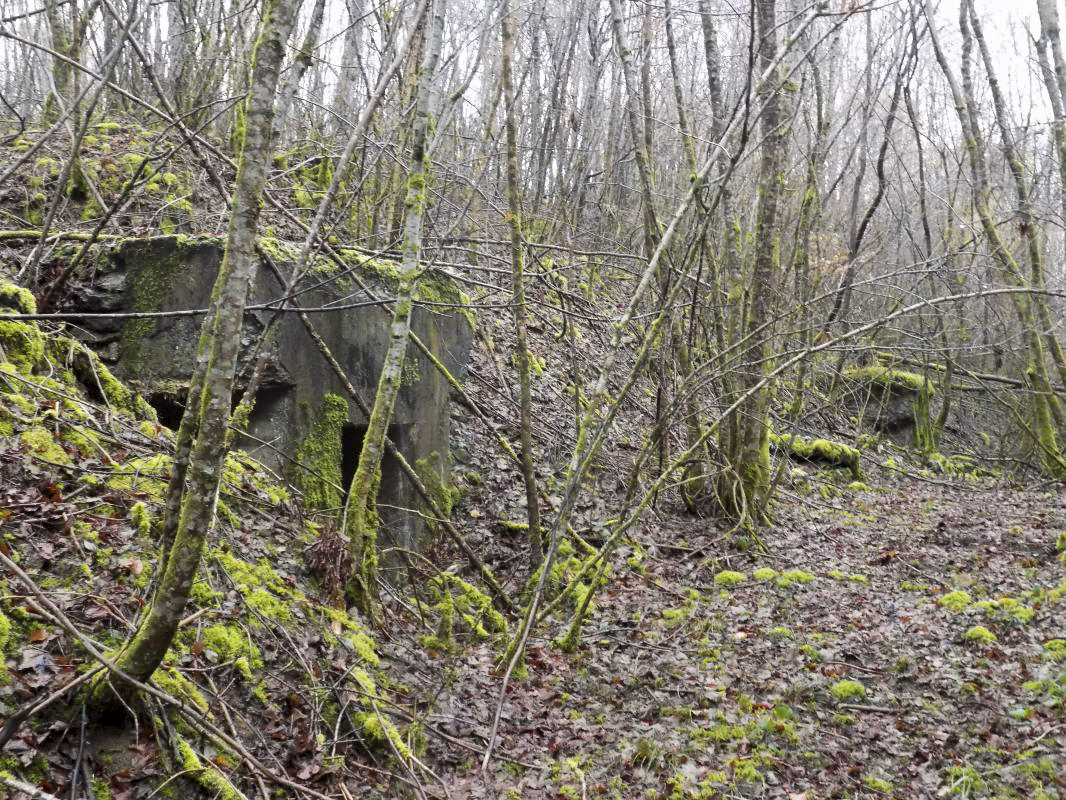 Ligne Maginot - CHARLEMAGNE (QUARTIER DU III / 148° RIF) - (PC de Quartier) - Entrées gauche et droite - R Tucker