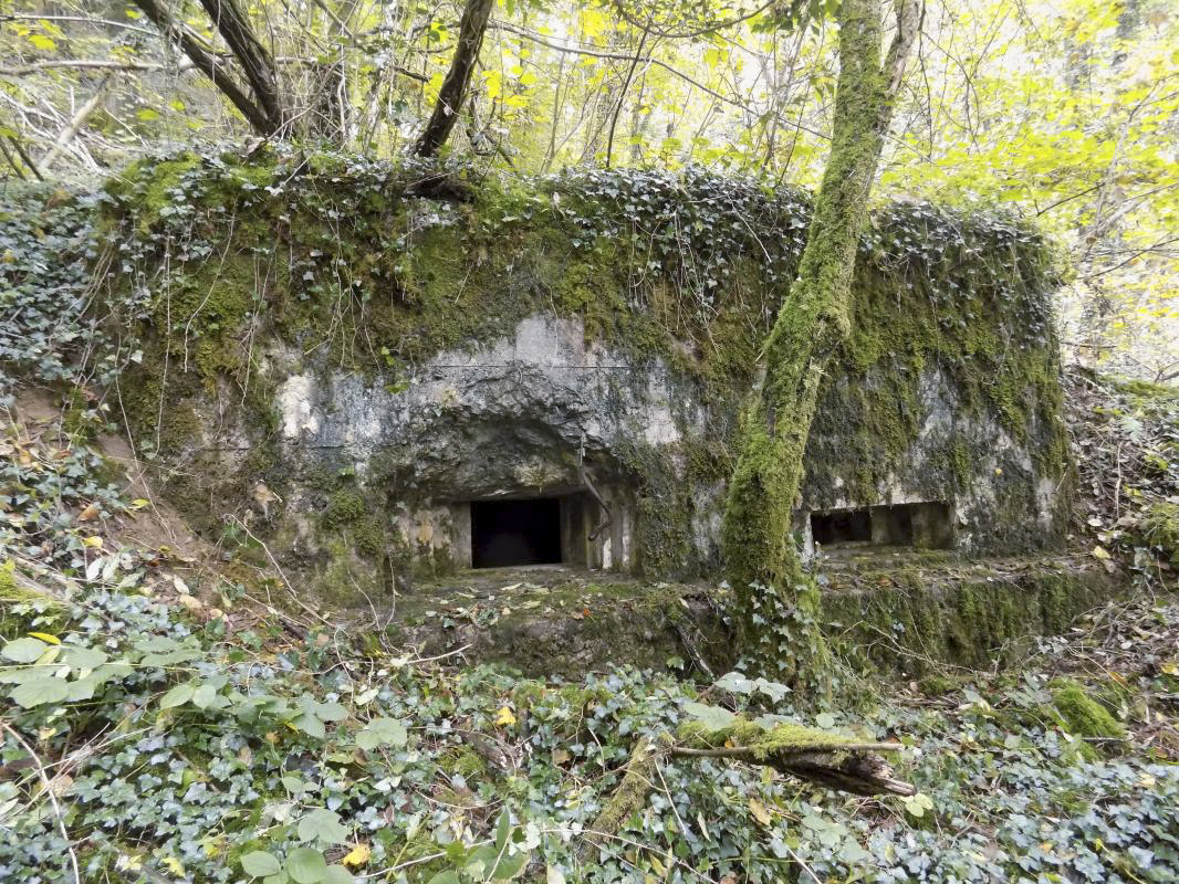 Ligne Maginot - BB82-C - LE HETRE - (Blockhaus pour canon) - Face droite