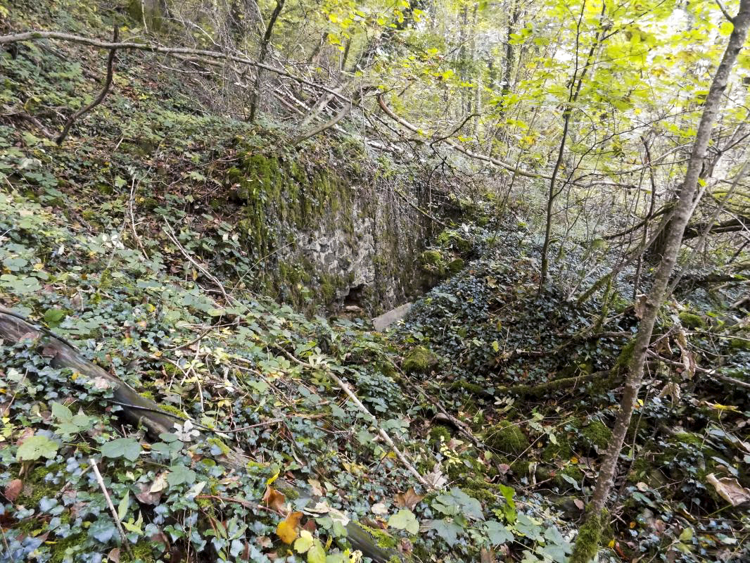 Ligne Maginot - BB82-C - LE HETRE - (Blockhaus pour canon) - L'entrée