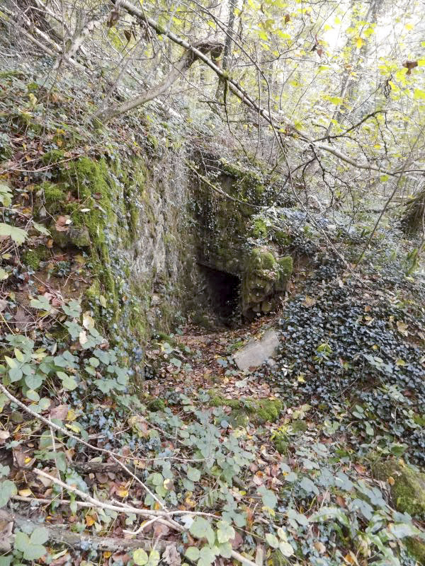 Ligne Maginot - BB82-C - LE HETRE - (Blockhaus pour canon) - L'entrée