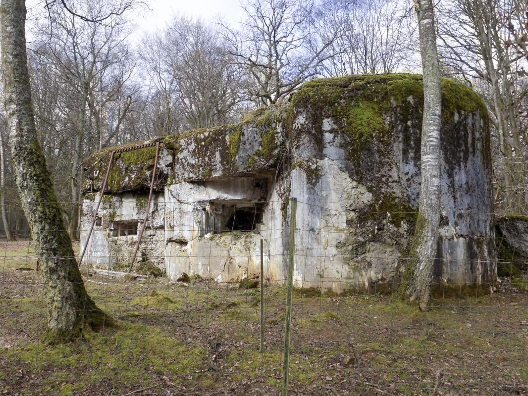 Ligne Maginot - TROIS FONTAINES NORD - (Blockhaus lourd type STG / STG-FCR - Simple) - Vue du sud