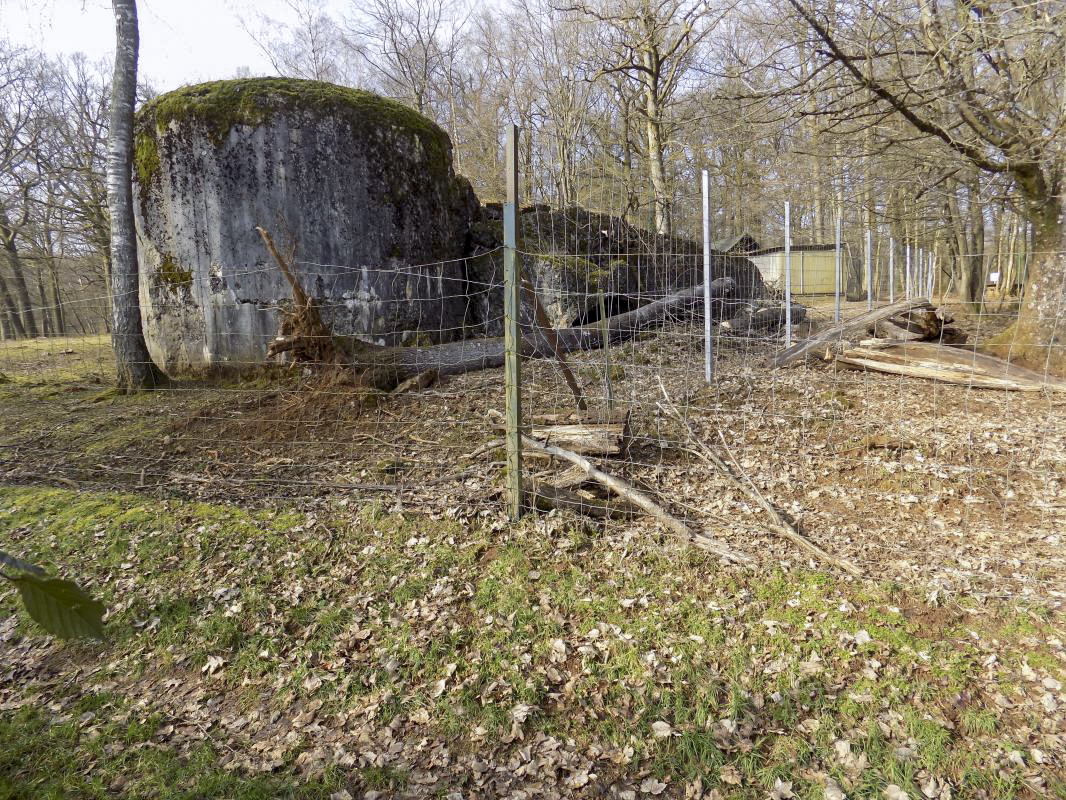 Ligne Maginot - TROIS FONTAINES NORD - (Blockhaus lourd type STG / STG-FCR - Simple) - Vue du sud-ouest