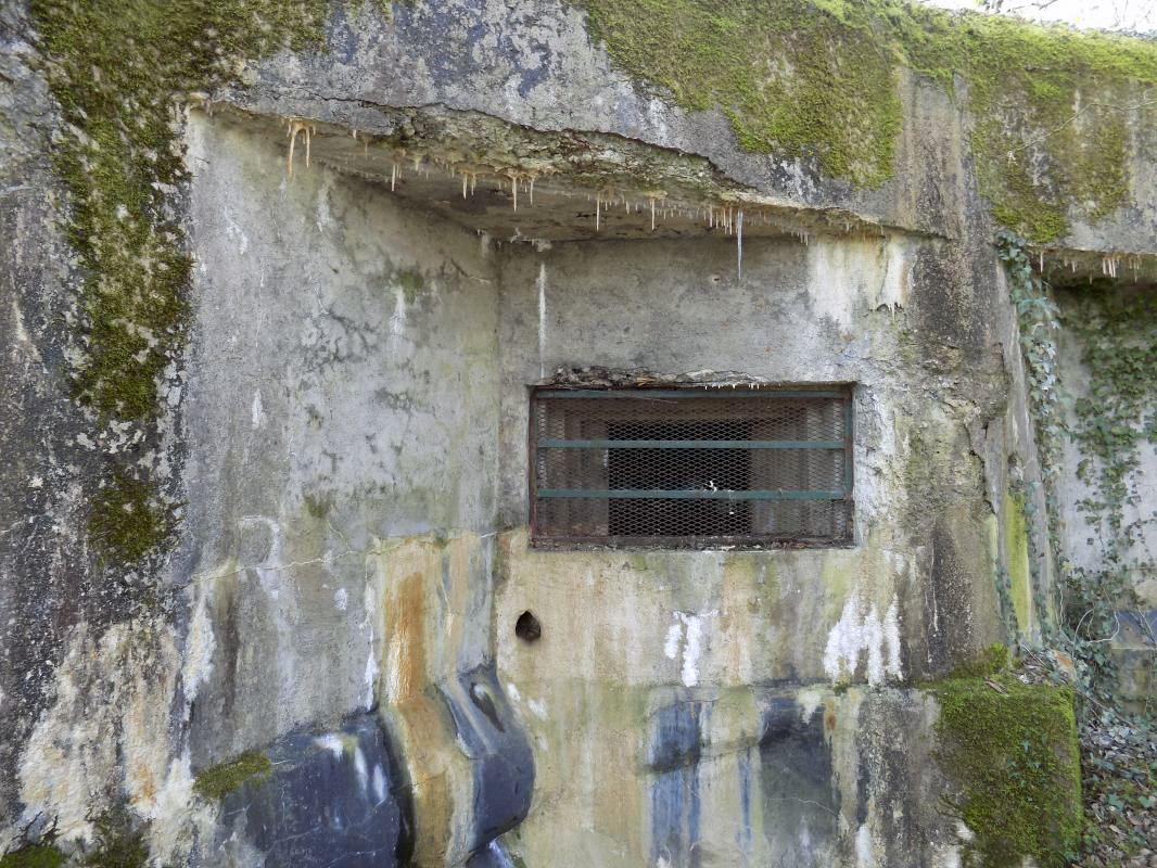 Ligne Maginot - TROIS FONTAINES SUD - (Blockhaus lourd type STG / STG-FCR - Simple) - Créneau AC