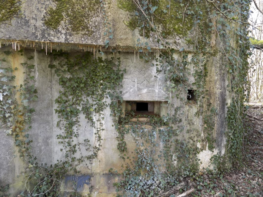 Ligne Maginot - TROIS FONTAINES SUD - (Blockhaus lourd type STG / STG-FCR - Simple) - Créneau Hotchkiss