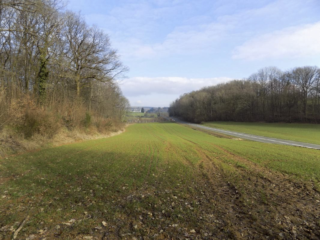 Ligne Maginot - TROIS FONTAINES SUD - (Blockhaus lourd type STG / STG-FCR - Simple) - Vue vers l'est; direction de tir