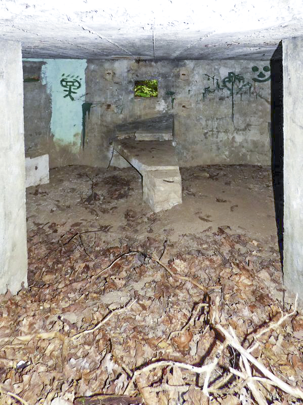 Ligne Maginot - BB14-A - LES ROSSIGNOLS - (Blockhaus pour arme infanterie) - 