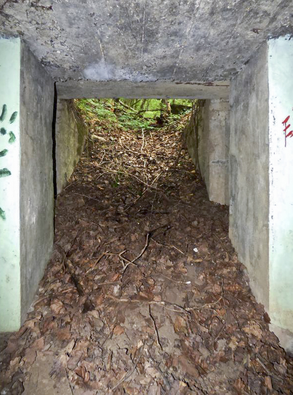 Ligne Maginot - BB14-A - LES ROSSIGNOLS - (Blockhaus pour arme infanterie) - 
