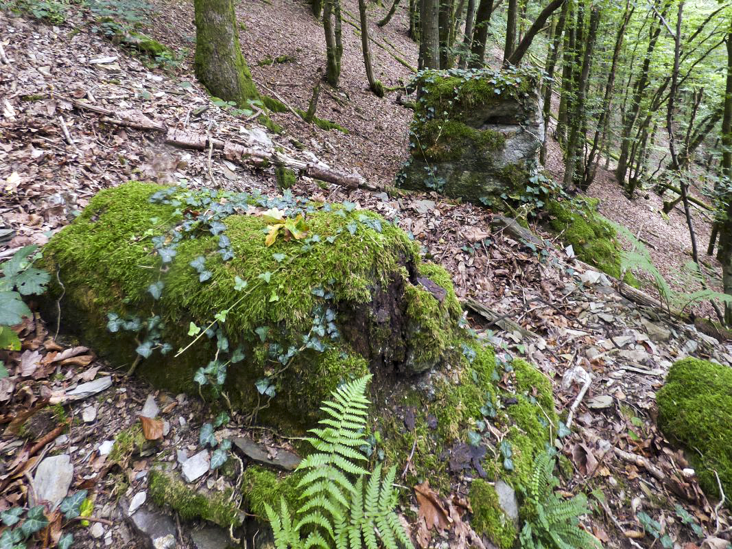 Ligne Maginot - BB14-A - LES ROSSIGNOLS - (Blockhaus pour arme infanterie) - Piliers du treuil de ravitallement