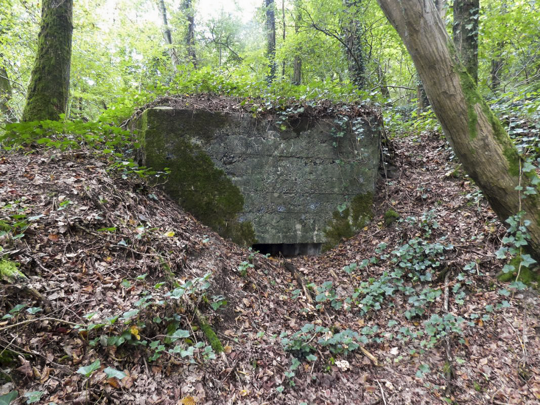 Ligne Maginot - BB62-E - BRAUX SUD 2 - (Blockhaus pour canon) -  - JMBrams