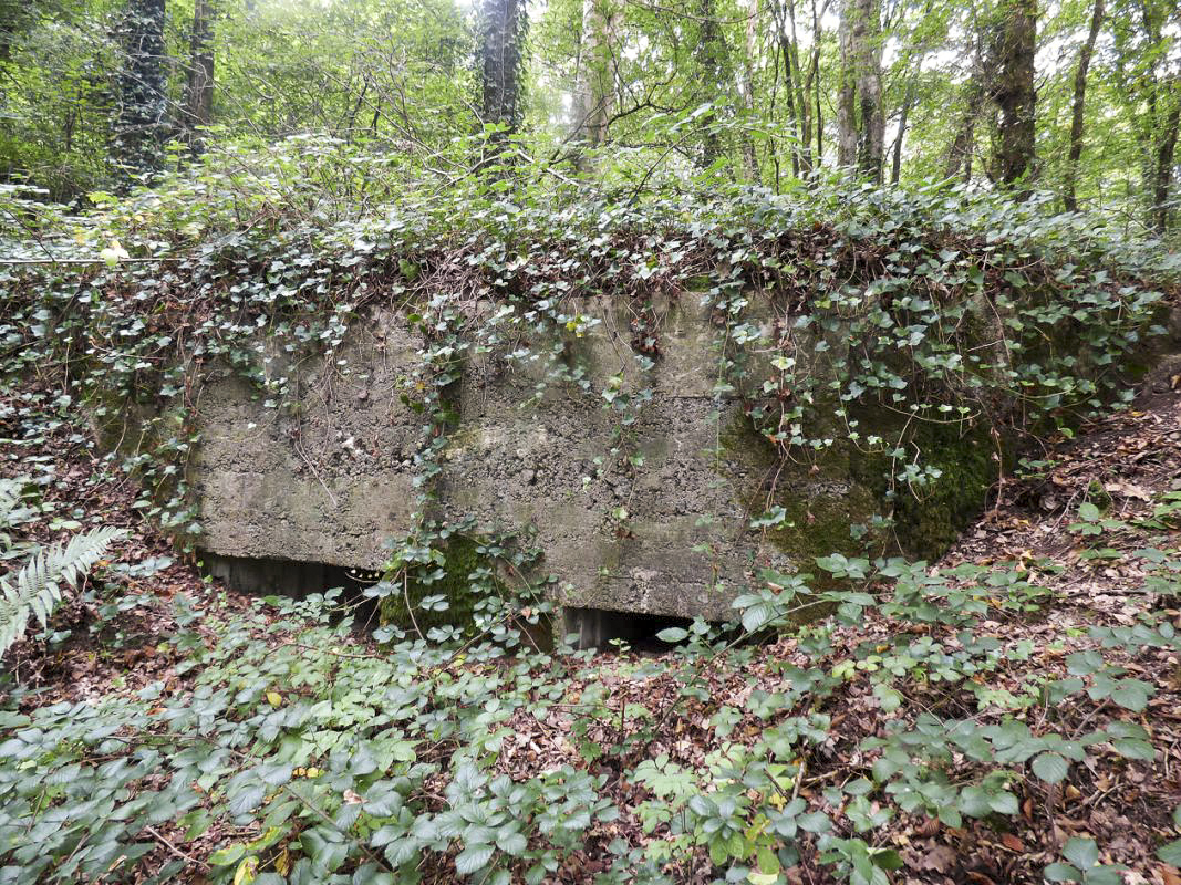 Ligne Maginot - BB62-E - BRAUX SUD 2 - (Blockhaus pour canon) -  - JMBrams
