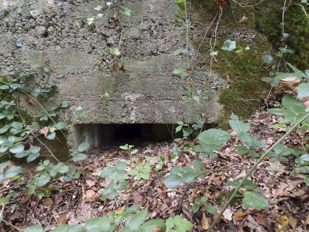 Ligne Maginot - BB62-E - BRAUX SUD 2 - (Blockhaus pour canon) -  - JMBrams