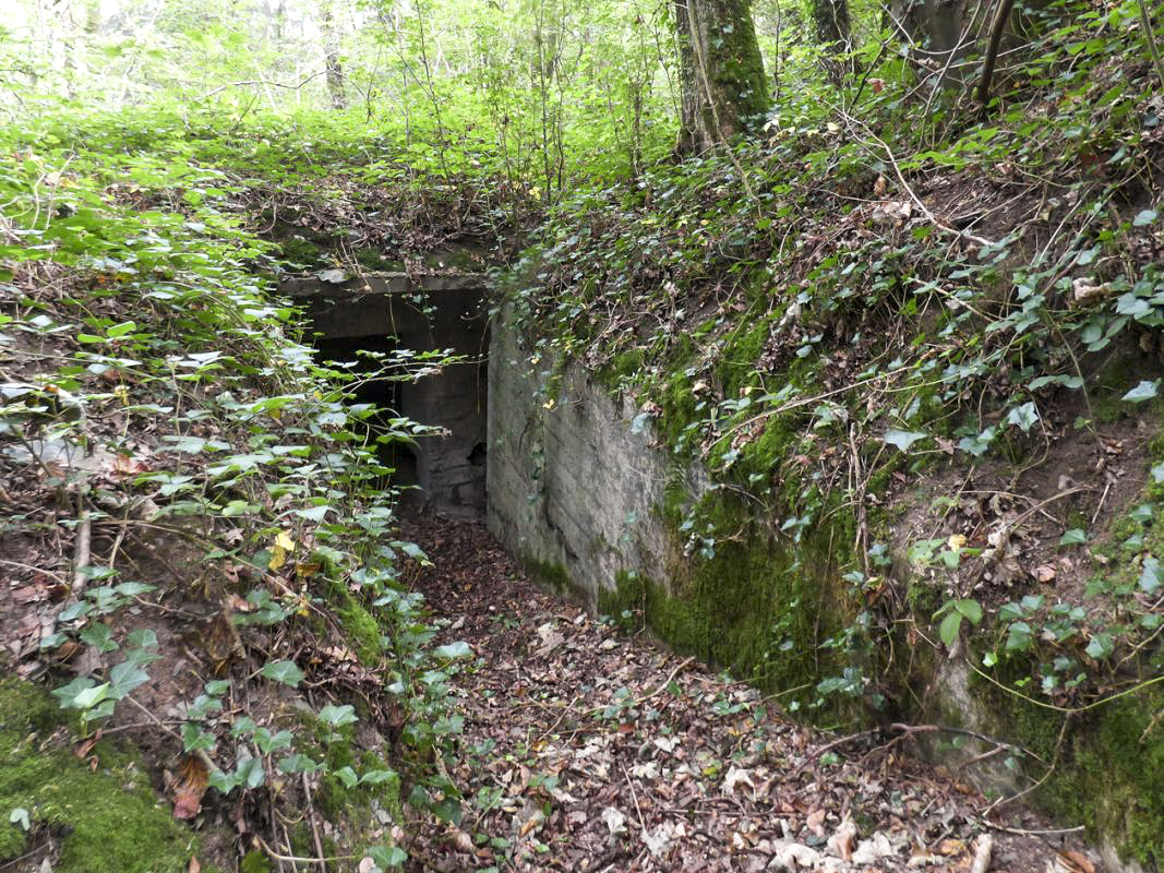 Ligne Maginot - BB62-E - BRAUX SUD 2 - (Blockhaus pour canon) -  - JMBrams