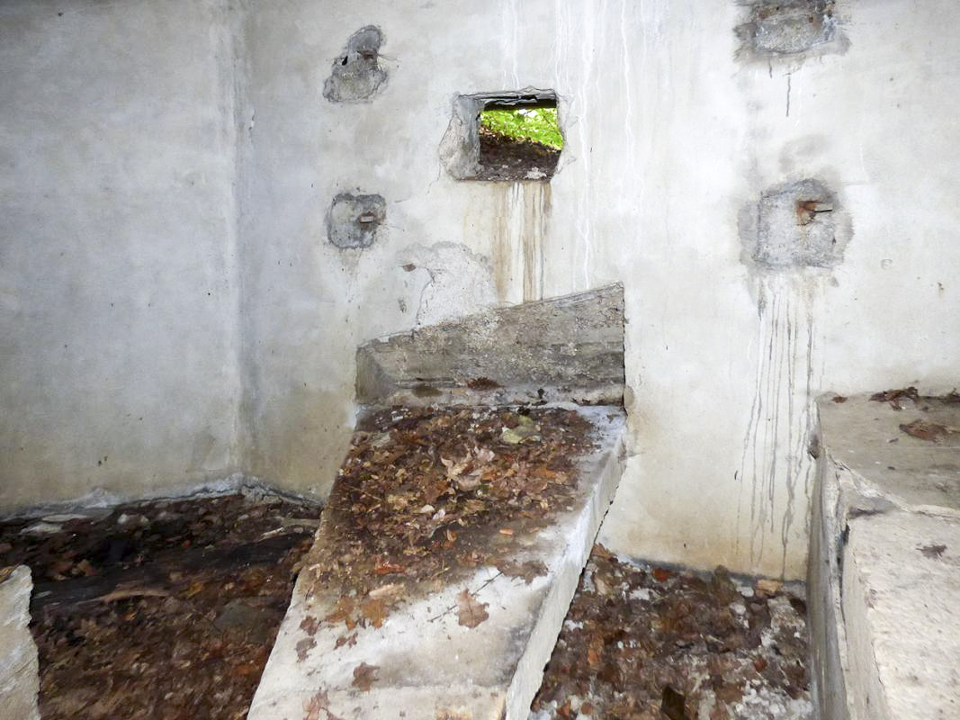 Ligne Maginot - BB62-E - BRAUX SUD 2 - (Blockhaus pour canon) -  - JMBrams