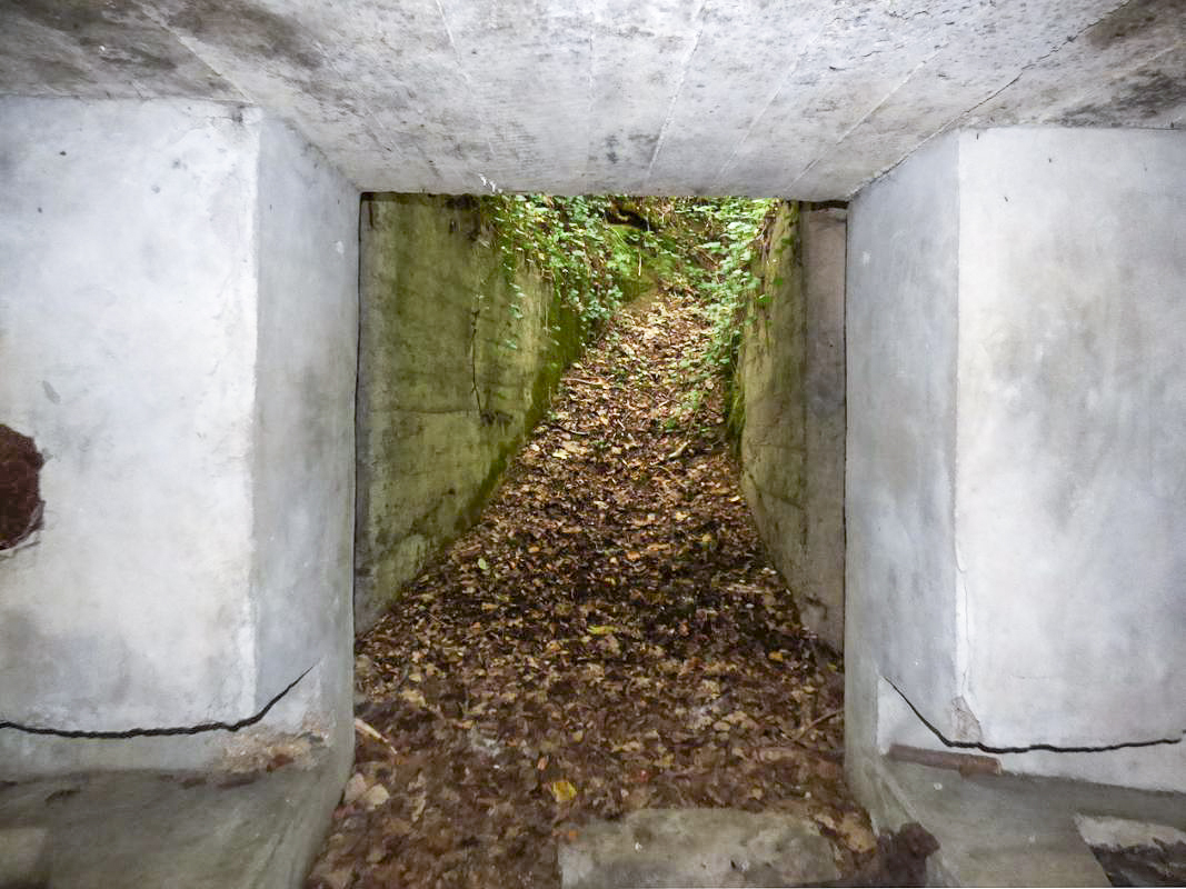 Ligne Maginot - BB62-E - BRAUX SUD 2 - (Blockhaus pour canon) -  - JMBrams