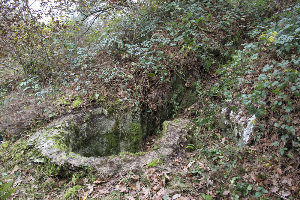 Ligne Maginot - Bb63-B - GRANDS DUCS Sud - L'emplacement de la tourelle après un bon débroussaillage. La tranchée d'accès existe encore