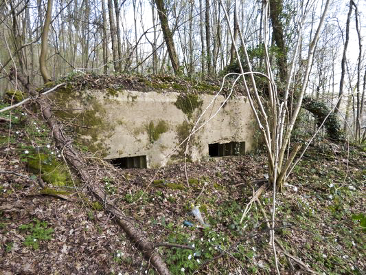 Ligne Maginot - BB64 - CROIX LA MOUCHE - (Blockhaus pour canon) -  - AALMA - www.lignemaginot.com
