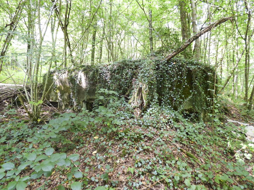 Ligne Maginot - BB64 - CROIX LA MOUCHE - (Blockhaus pour canon) - 