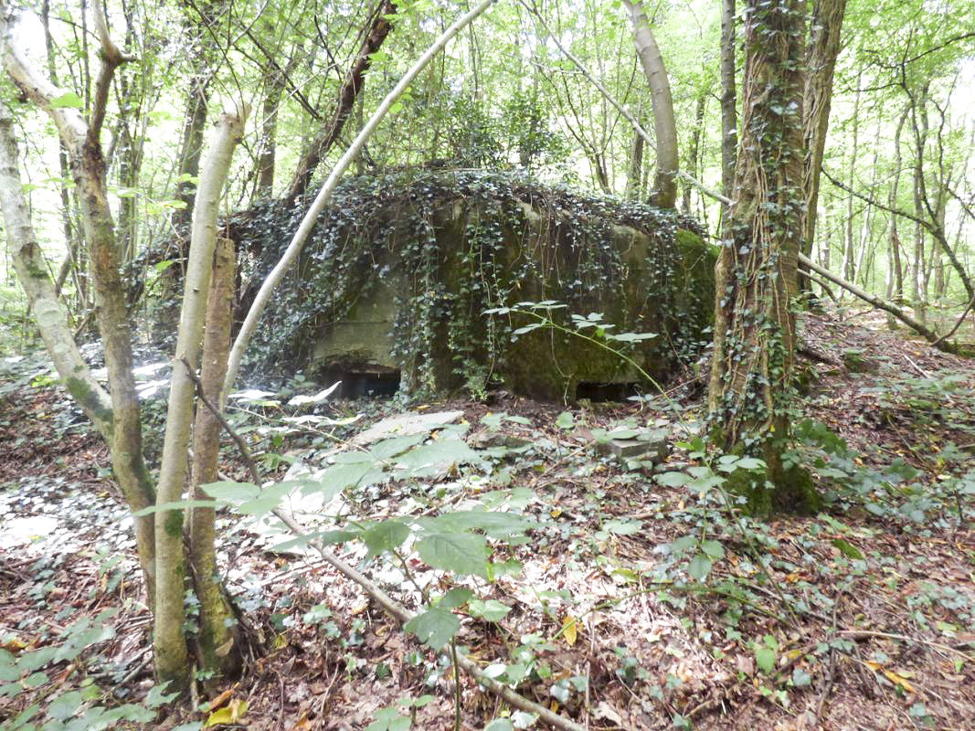 Ligne Maginot - BB64 - CROIX LA MOUCHE - (Blockhaus pour canon) - 