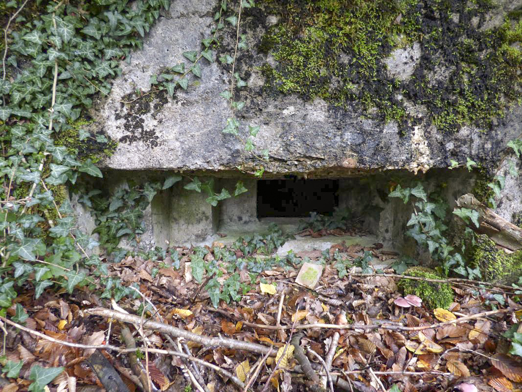 Ligne Maginot - BB66-C - LES AGACES - (Blockhaus pour arme infanterie) - 