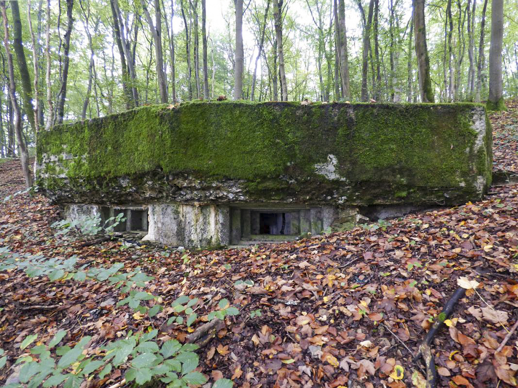 Ligne Maginot - BB67-B - ROCHE MARTIN - (Blockhaus pour arme infanterie) -  - JMBrams