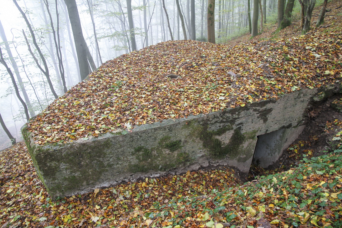 Ligne Maginot - BB67-B - ROCHE MARTIN - (Blockhaus pour arme infanterie) -  - Alain Perouffe