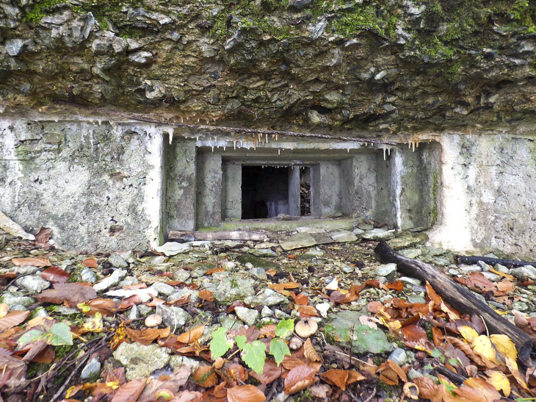 Ligne Maginot - BB67-B - ROCHE MARTIN - (Blockhaus pour arme infanterie) - 