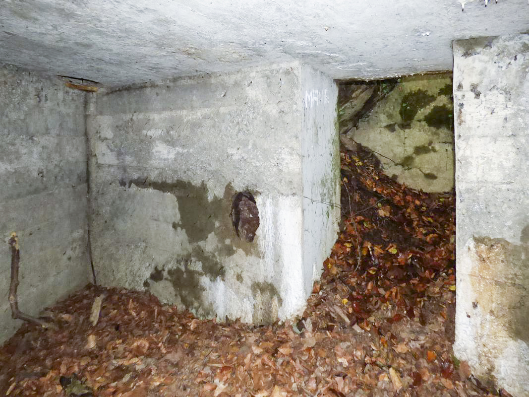 Ligne Maginot - BB67-B - ROCHE MARTIN - (Blockhaus pour arme infanterie) - 