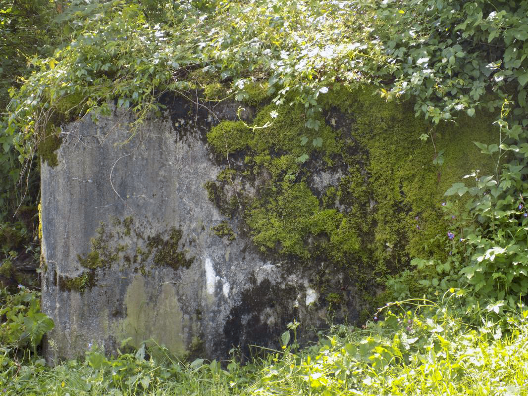 Ligne Maginot - BB67-C - WEBES DE MONTCY EST - (Blockhaus pour arme infanterie) - Face nord-est