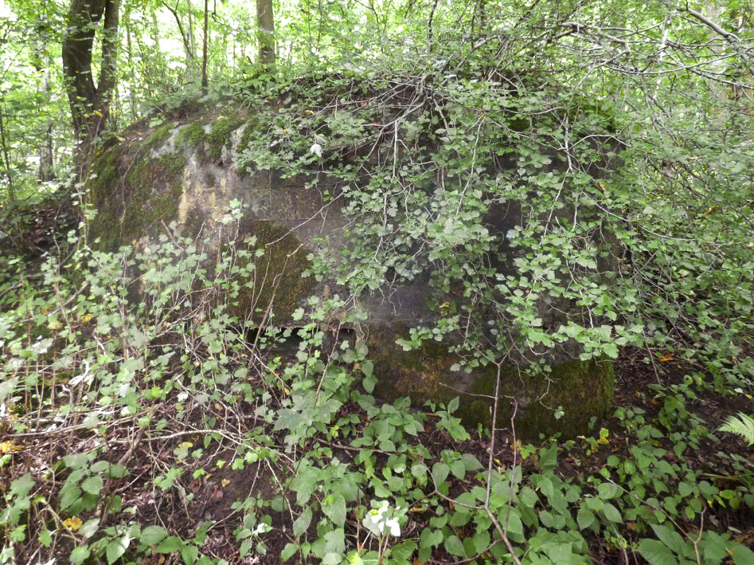 Ligne Maginot - BB68 - CHATEAU DE LA PIERRONNERIE - (Blockhaus pour arme infanterie) -  - JMBrams